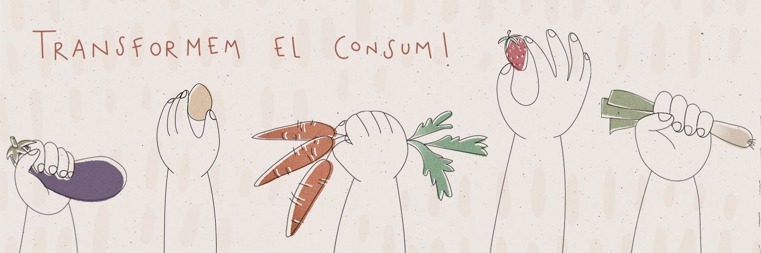 Odoo • Imatge amb peu de foto