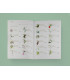 Llibre plantes silvestres comestibles 1