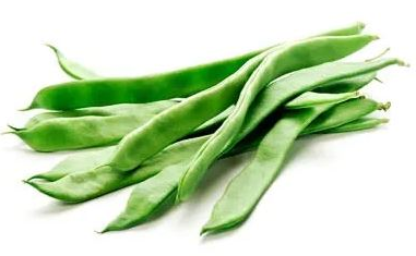 Mongeta tendra plana