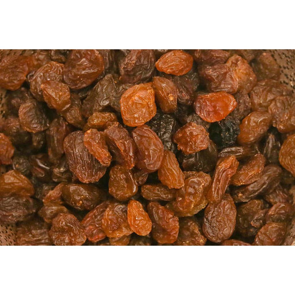 Pansa sultana Oleander