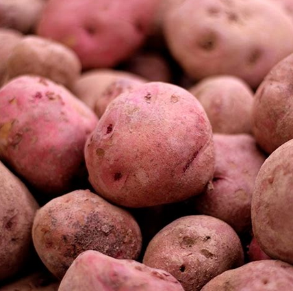 Patata Vermella