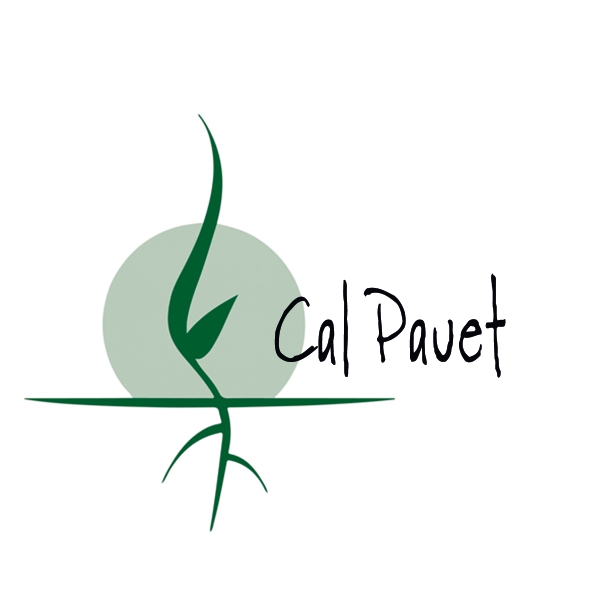 Farina espelta integral 1kg, Cal Pauet