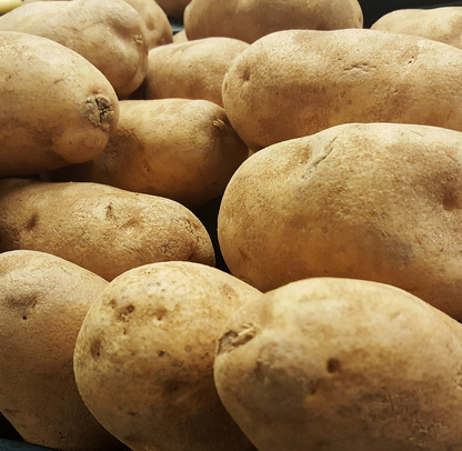 Patata blanca Bufet