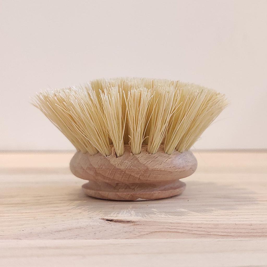 Recanvi raspall cassoles