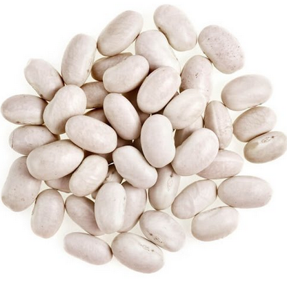 Mongeta fesolet Hort del Silenci