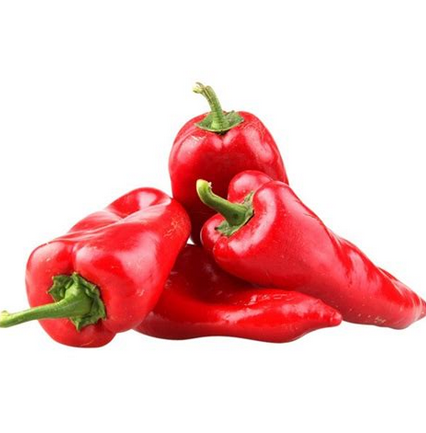 Pebrot italià vermell