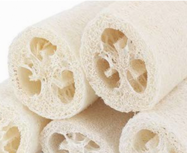 Esponja vegetal lufa mitjana