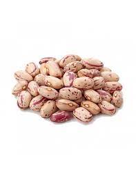 Mongeta pinta Hort del Silenci