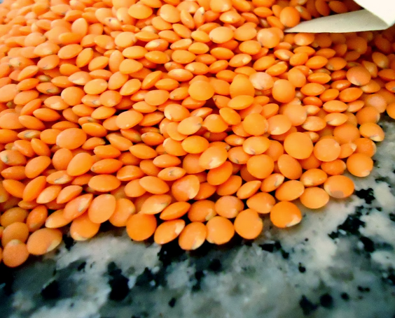 Llentia vermella Hort del Silenci