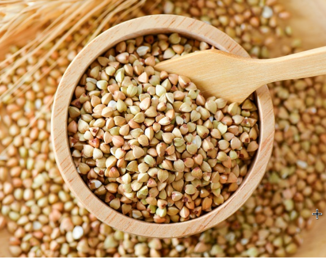 Gra de fajol/blat sarraí Hort del Silenci