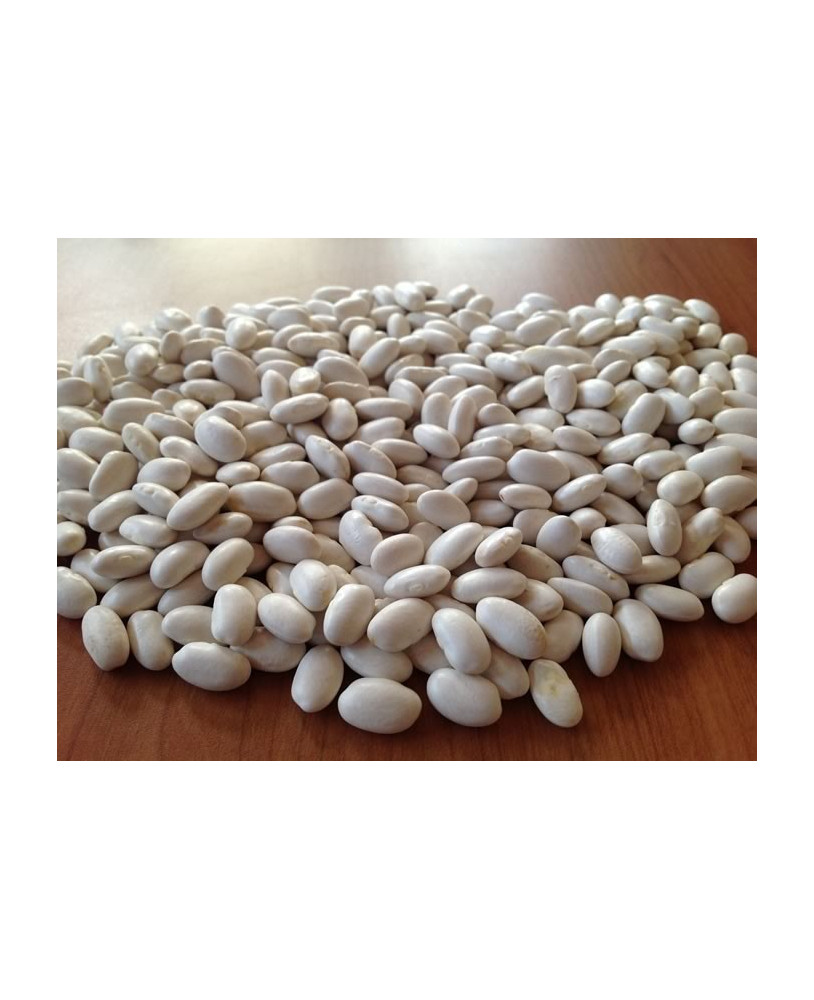 Mongeta del carai, Agrària Vallès