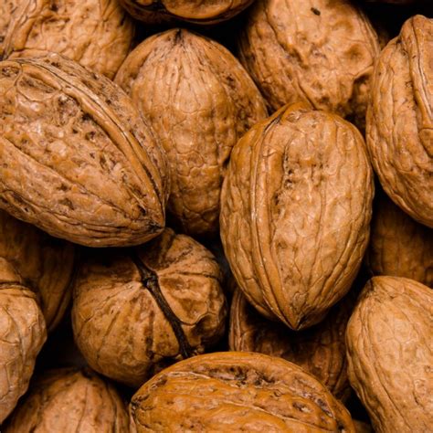 Nou closca, Franquette