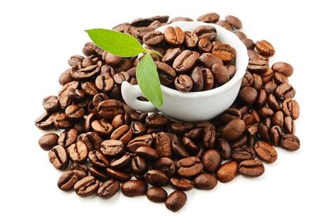 Cafè en gra BIO, Alternativa 3