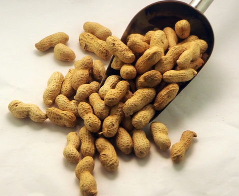 Cacauet torrat amb closca Can Galderic